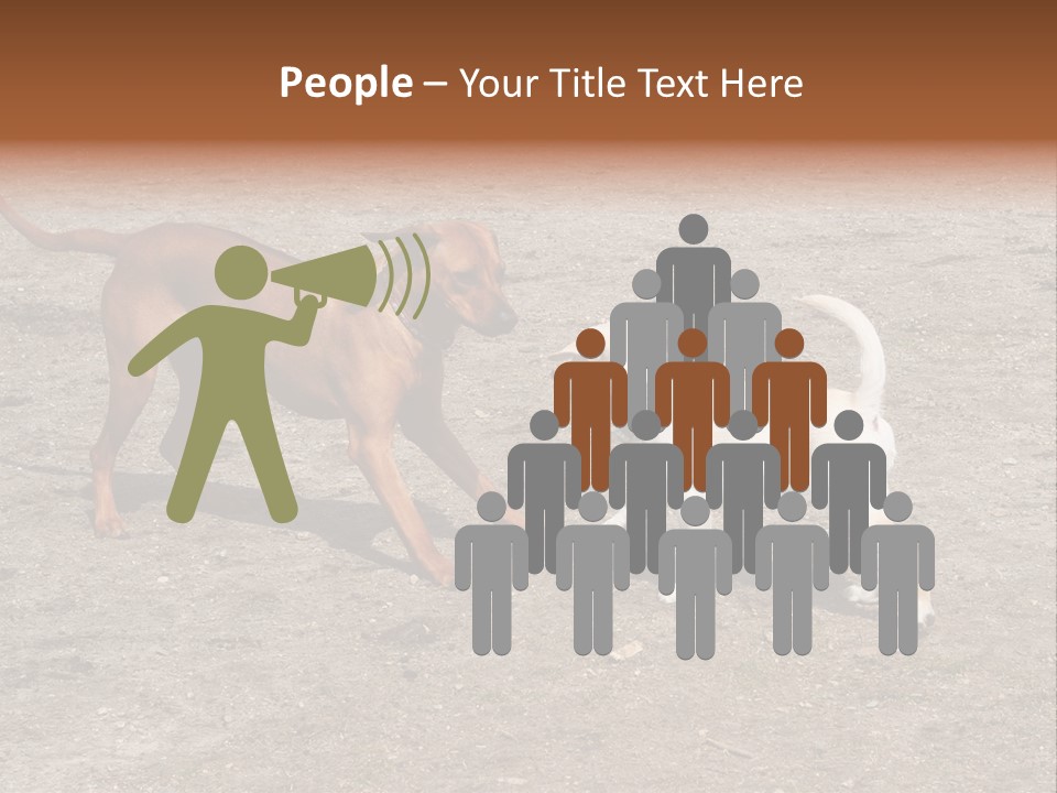 Puppy And Dog Playing PowerPoint Template