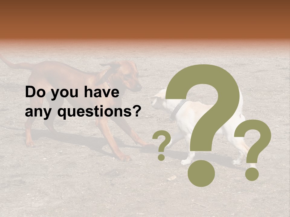 Puppy And Dog Playing PowerPoint Template