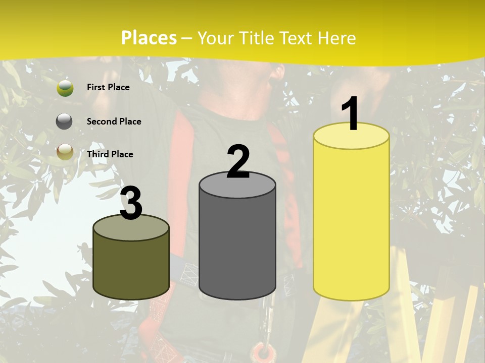 A Man Is Working On A Tree PowerPoint Template
