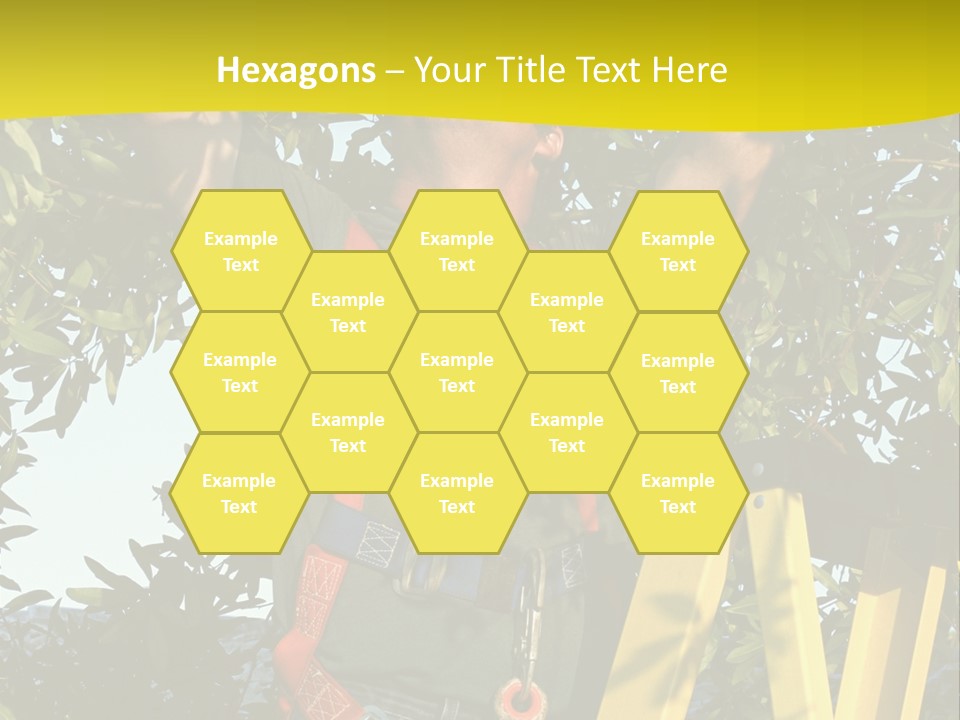 A Man Is Working On A Tree PowerPoint Template