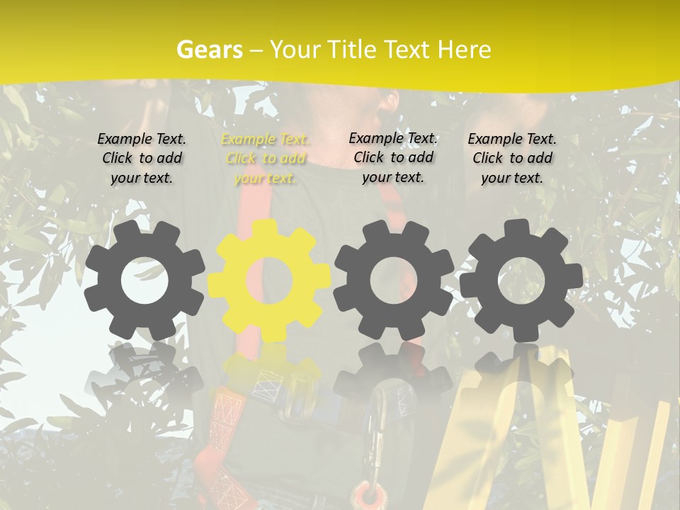 A Man Is Working On A Tree PowerPoint Template