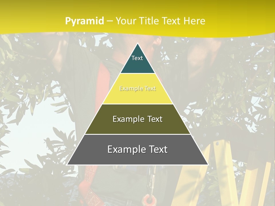 A Man Is Working On A Tree PowerPoint Template