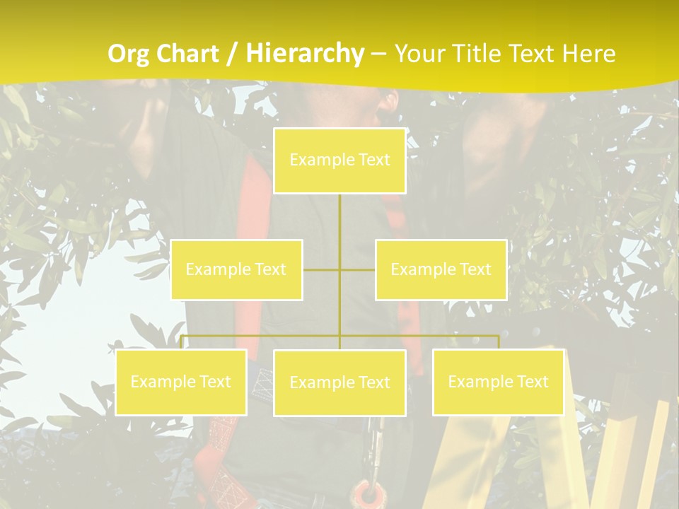 A Man Is Working On A Tree PowerPoint Template