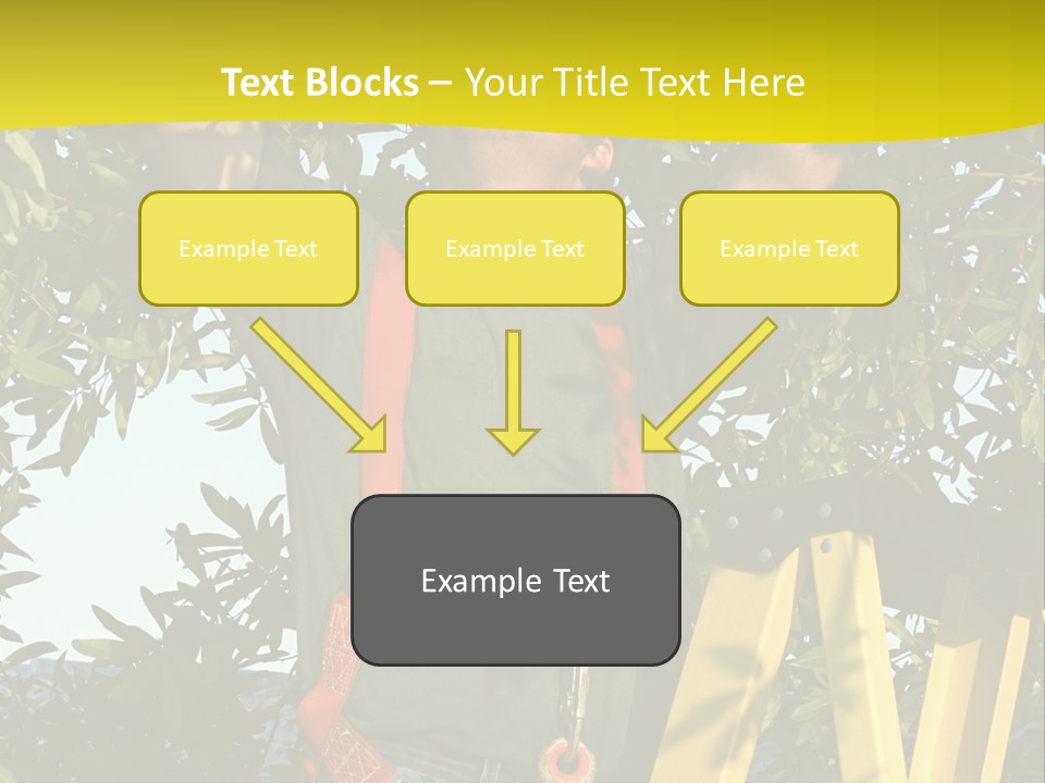 A Man Is Working On A Tree PowerPoint Template