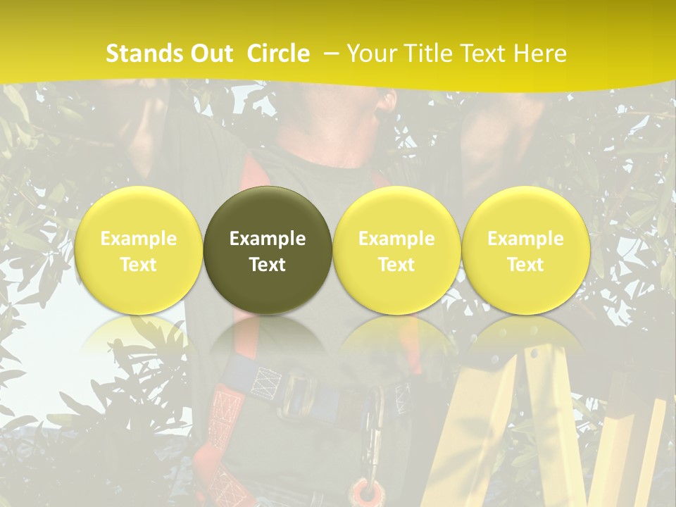 A Man Is Working On A Tree PowerPoint Template