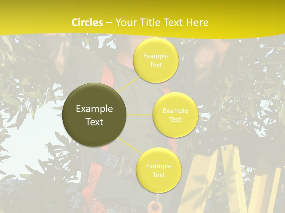 A Man Is Working On A Tree PowerPoint Template