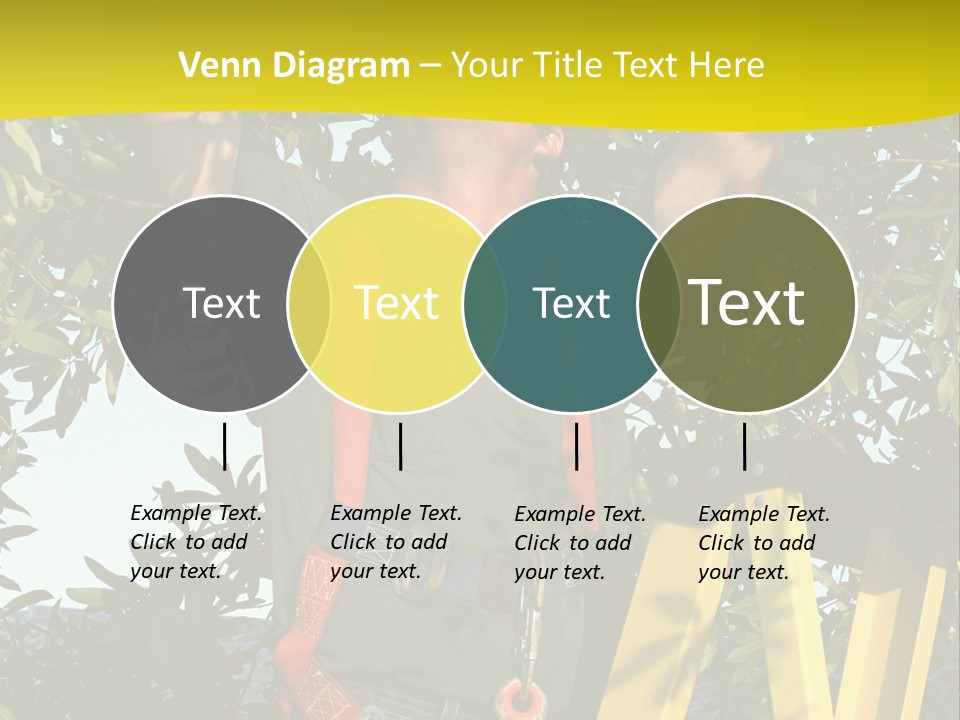 A Man Is Working On A Tree PowerPoint Template