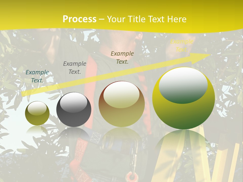 A Man Is Working On A Tree PowerPoint Template