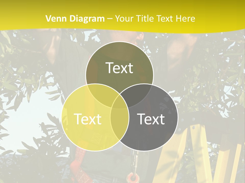 A Man Is Working On A Tree PowerPoint Template