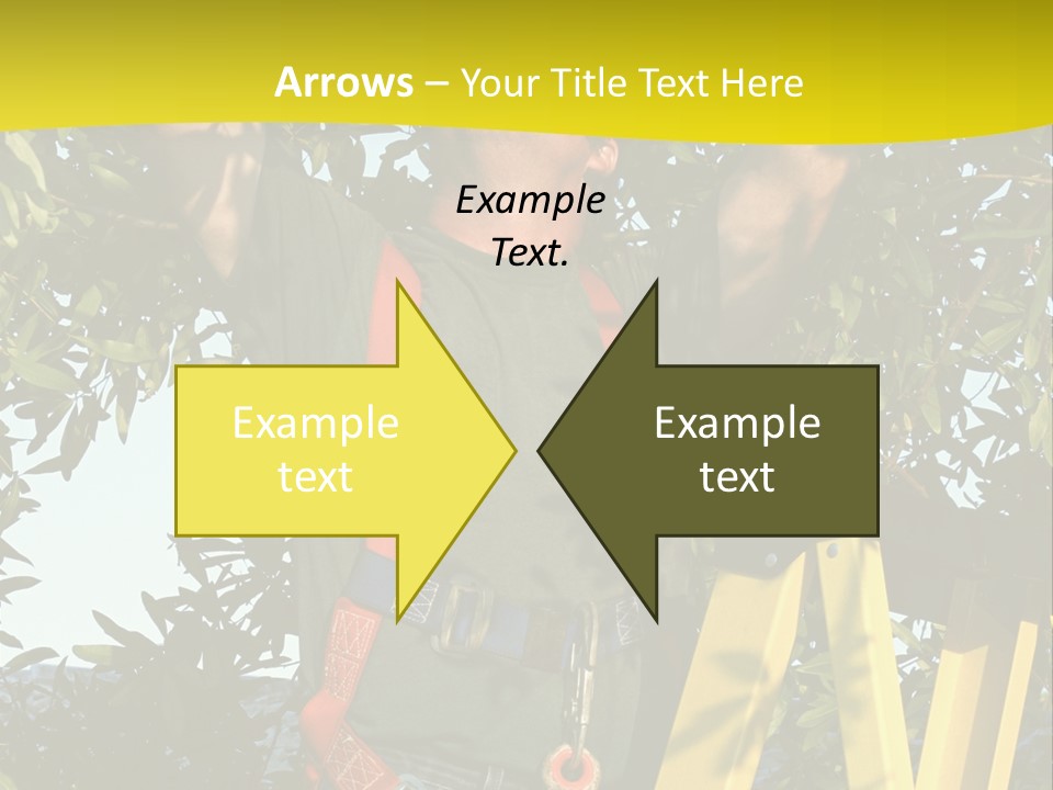 A Man Is Working On A Tree PowerPoint Template