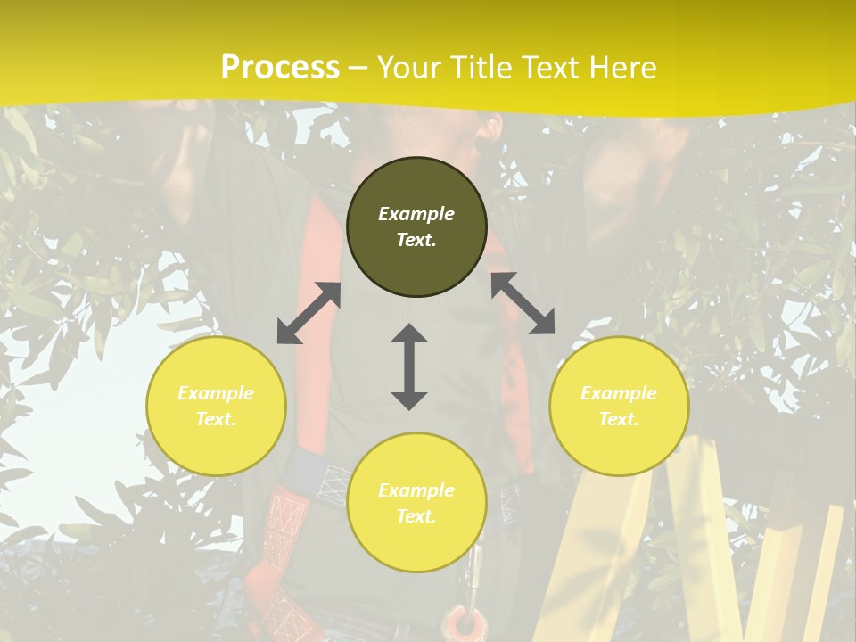 A Man Is Working On A Tree PowerPoint Template
