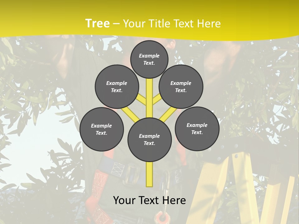 A Man Is Working On A Tree PowerPoint Template