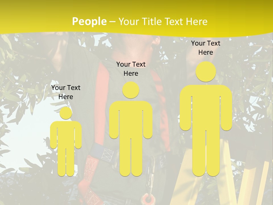 A Man Is Working On A Tree PowerPoint Template