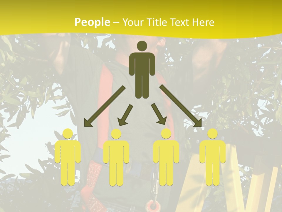 A Man Is Working On A Tree PowerPoint Template
