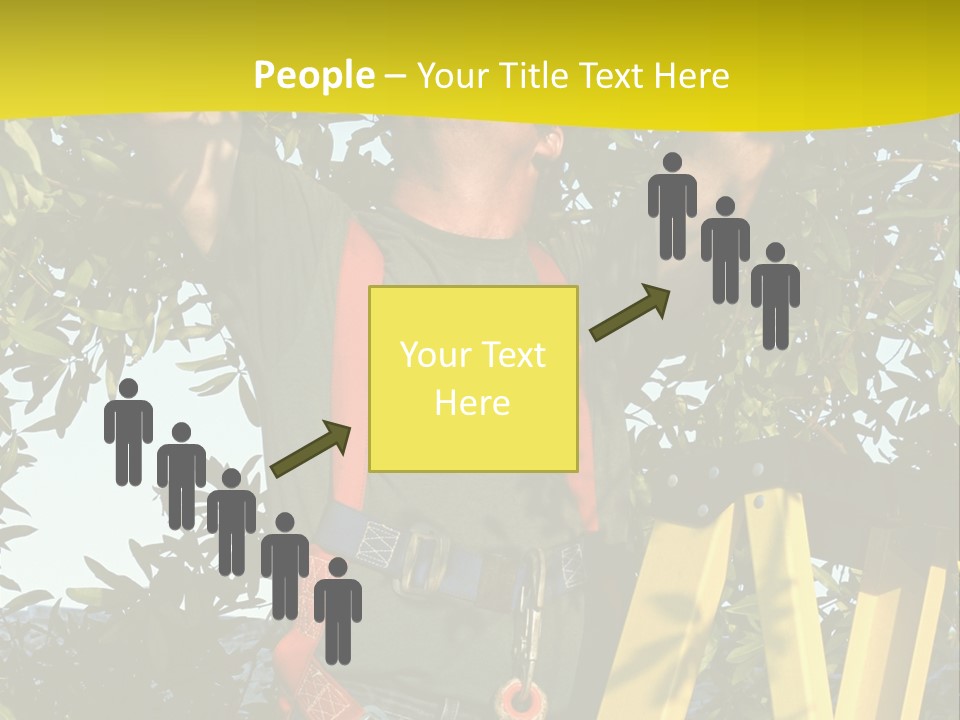 A Man Is Working On A Tree PowerPoint Template