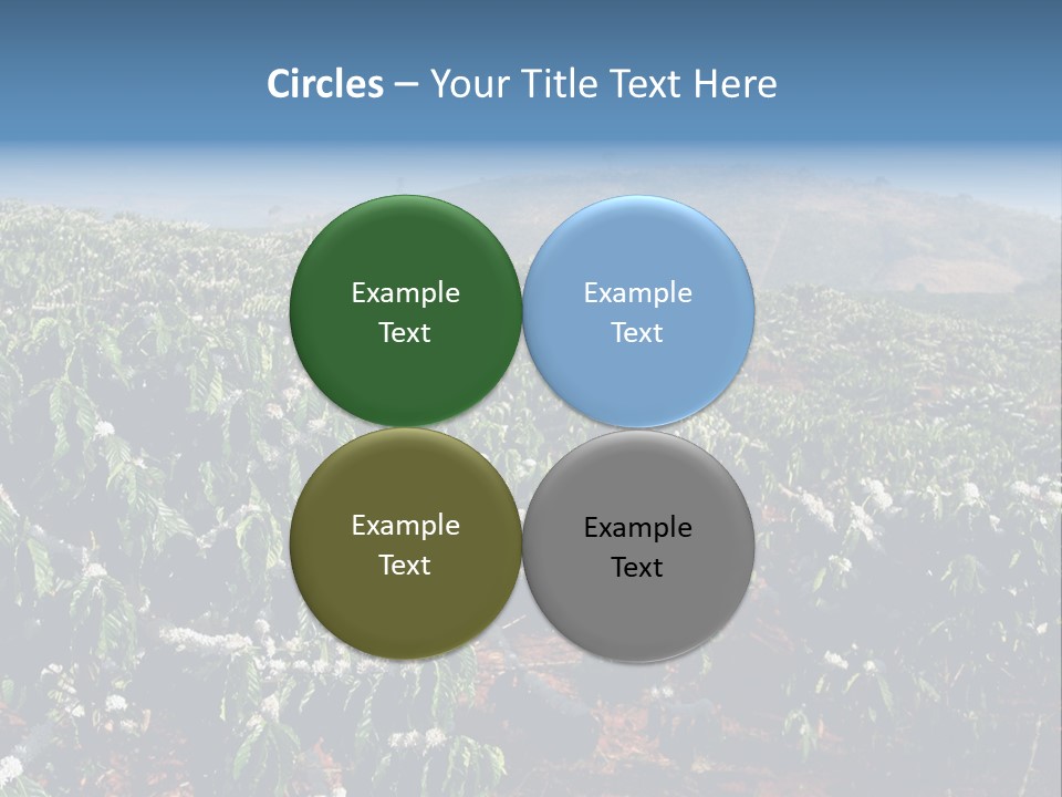 Coffee Plantation PowerPoint Template