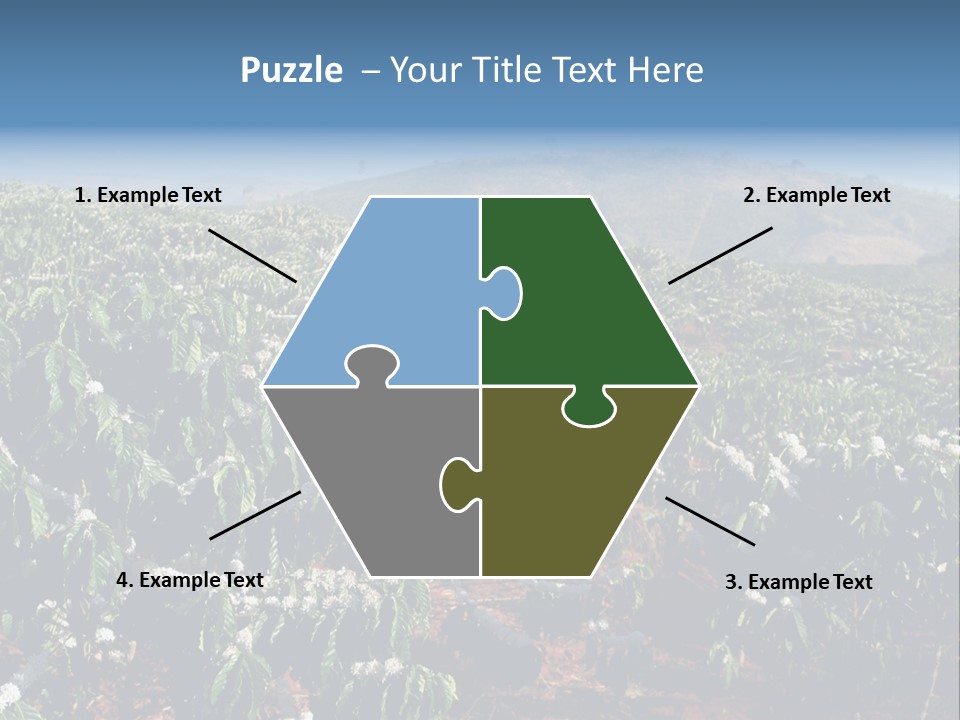 Coffee Plantation PowerPoint Template