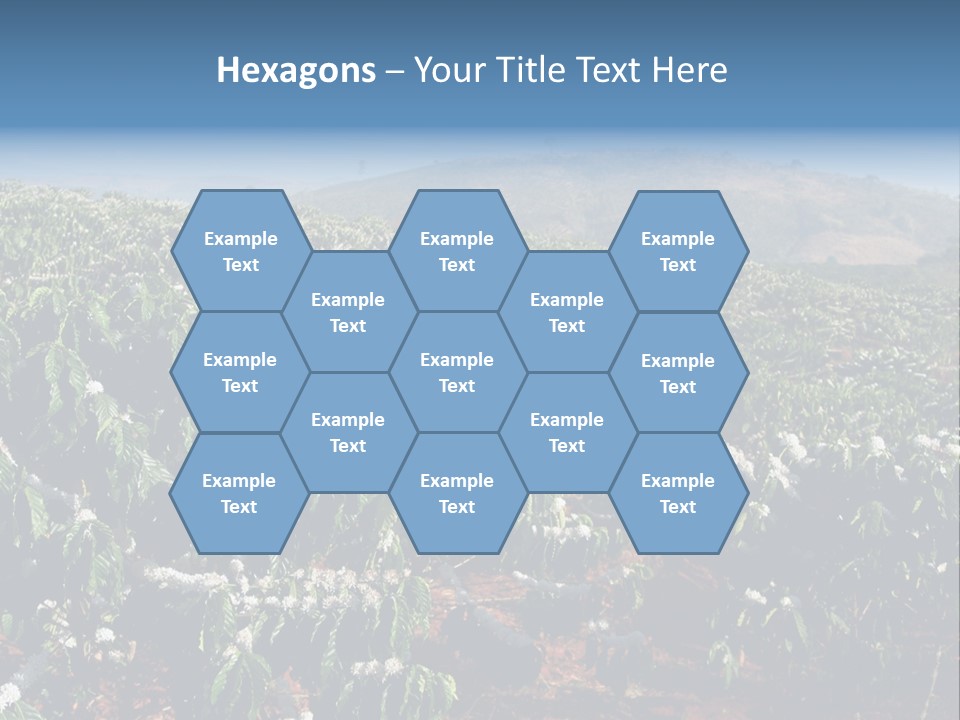 Coffee Plantation PowerPoint Template