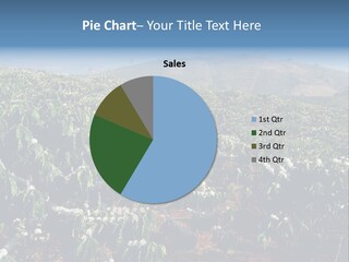 Coffee Plantation PowerPoint Template