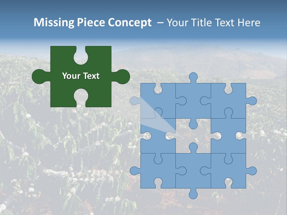 Coffee Plantation PowerPoint Template