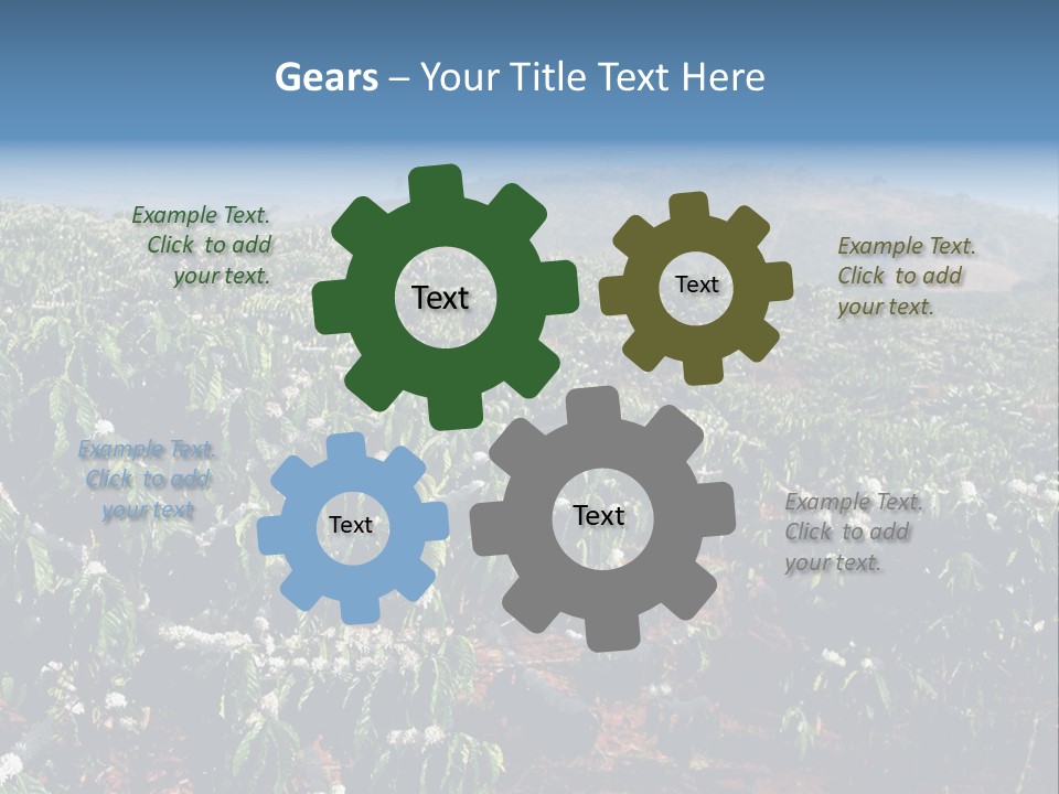 Coffee Plantation PowerPoint Template