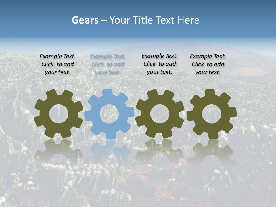 Coffee Plantation PowerPoint Template