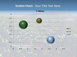 Coffee Plantation PowerPoint Template