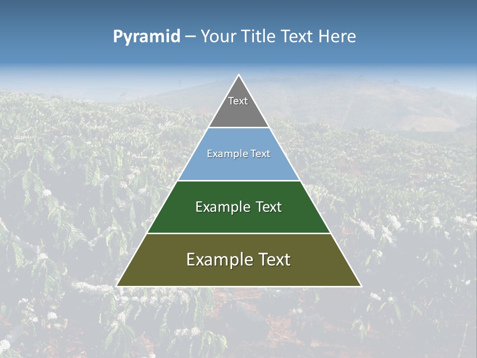 Coffee Plantation PowerPoint Template