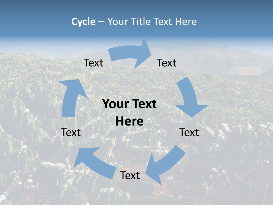 Coffee Plantation PowerPoint Template