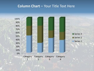 Coffee Plantation PowerPoint Template