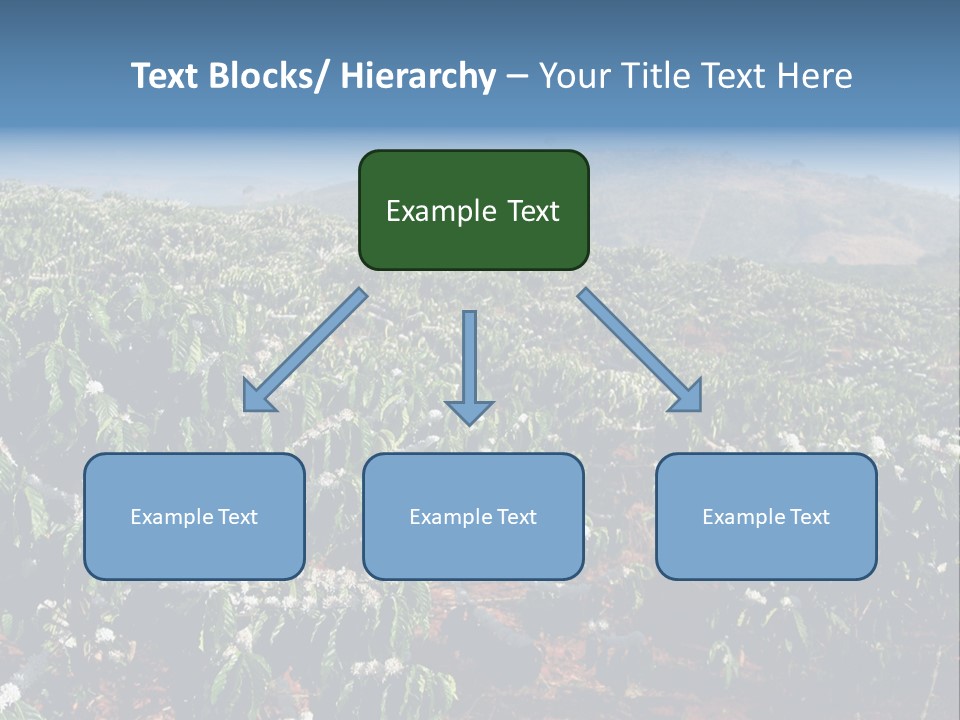 Coffee Plantation PowerPoint Template