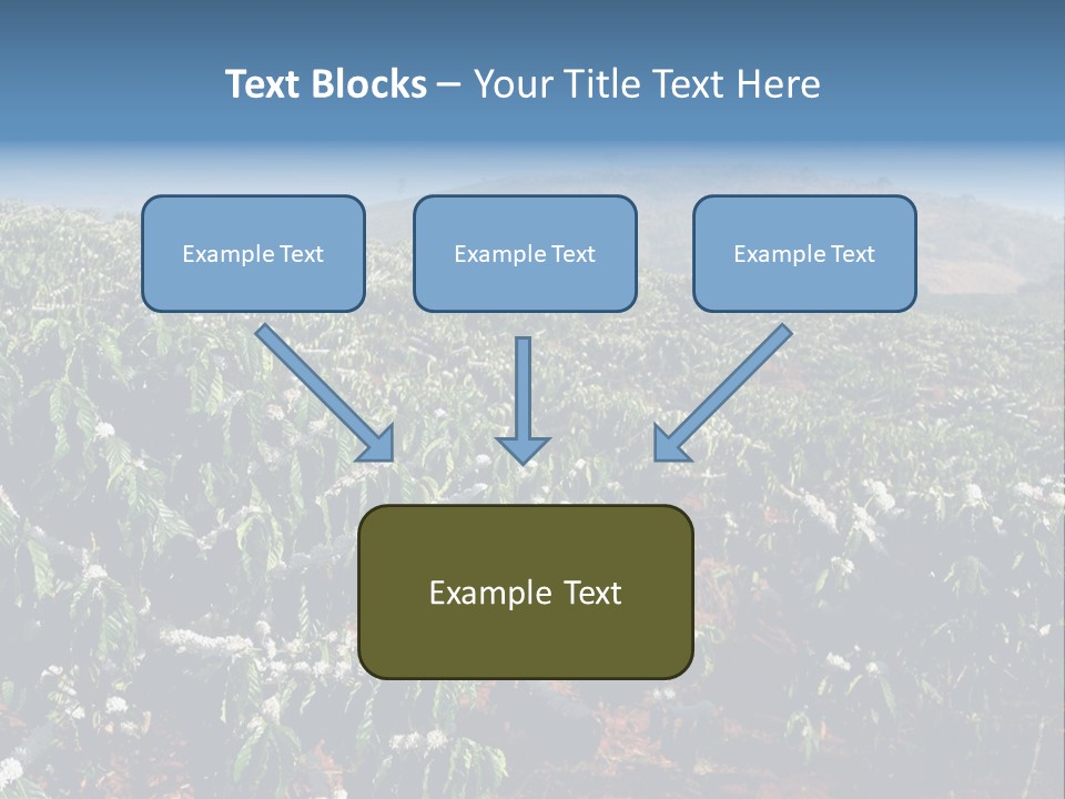 Coffee Plantation PowerPoint Template