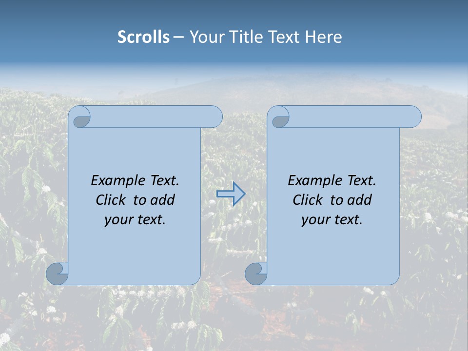 Coffee Plantation PowerPoint Template