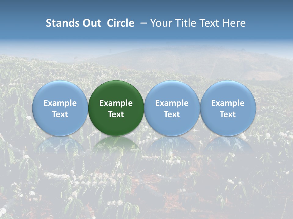 Coffee Plantation PowerPoint Template