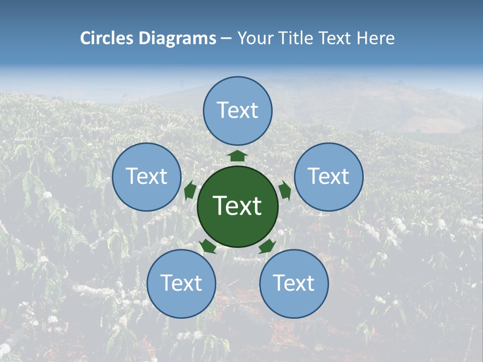 Coffee Plantation PowerPoint Template