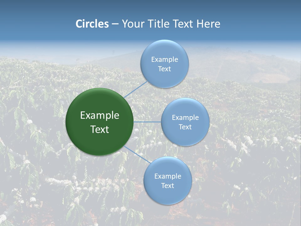 Coffee Plantation PowerPoint Template