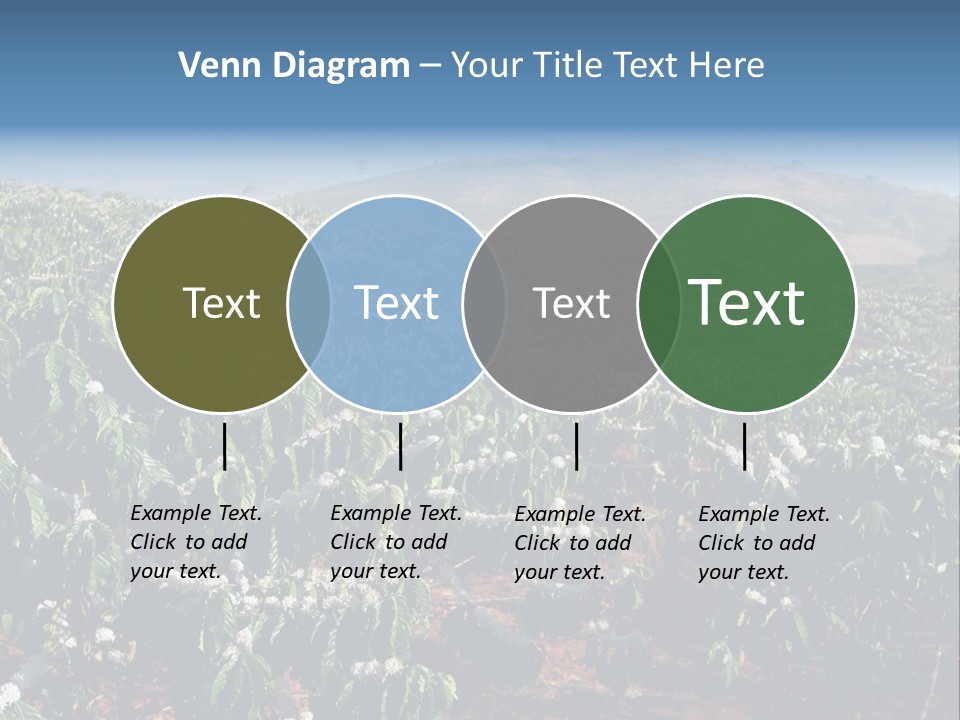 Coffee Plantation PowerPoint Template