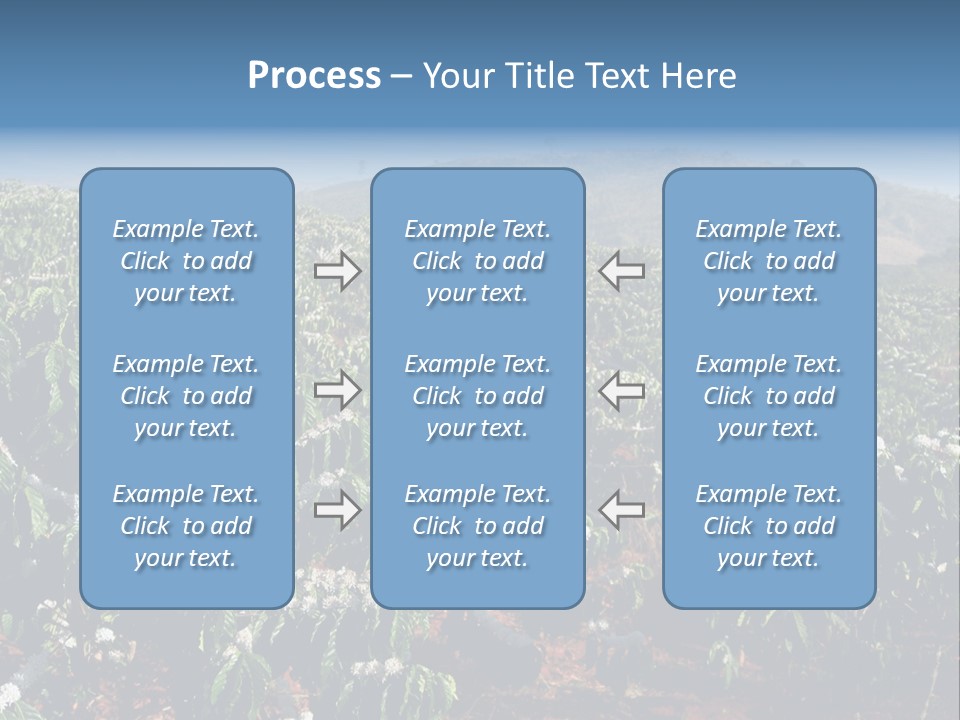 Coffee Plantation PowerPoint Template