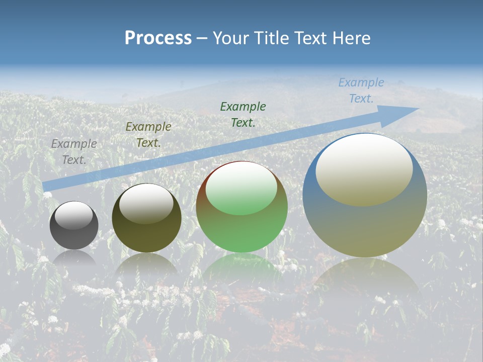 Coffee Plantation PowerPoint Template