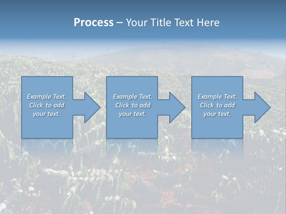 Coffee Plantation PowerPoint Template