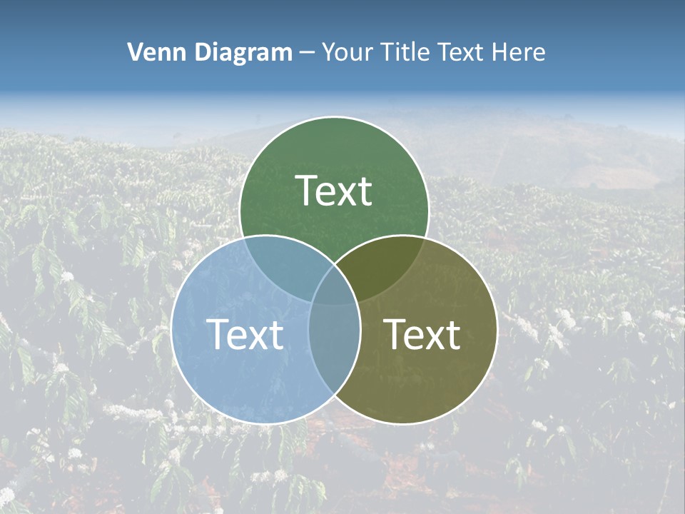 Coffee Plantation PowerPoint Template