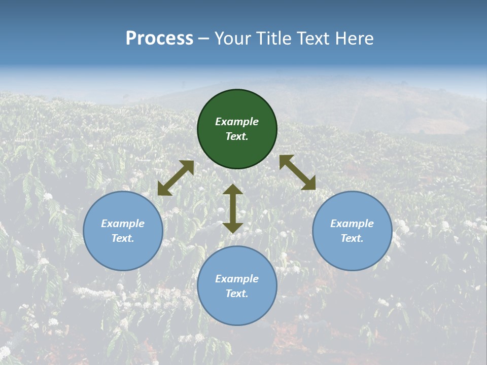 Coffee Plantation PowerPoint Template
