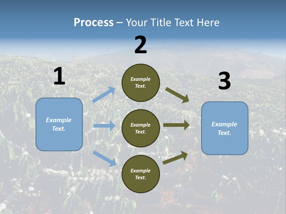 Coffee Plantation PowerPoint Template