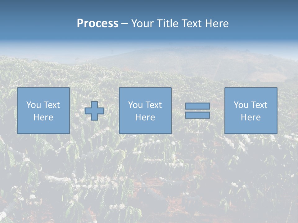 Coffee Plantation PowerPoint Template