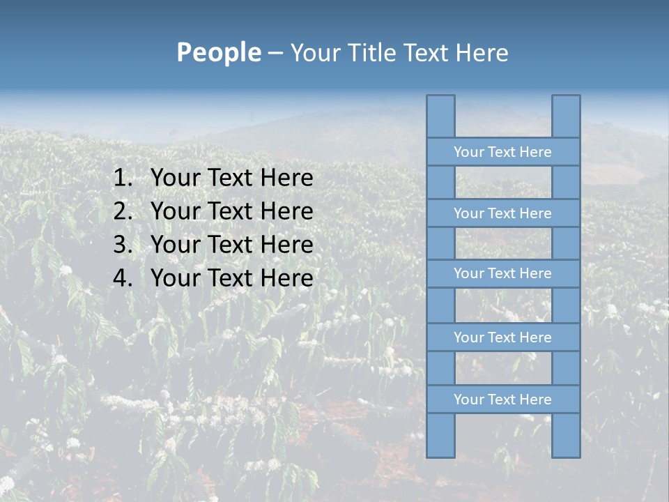 Coffee Plantation PowerPoint Template