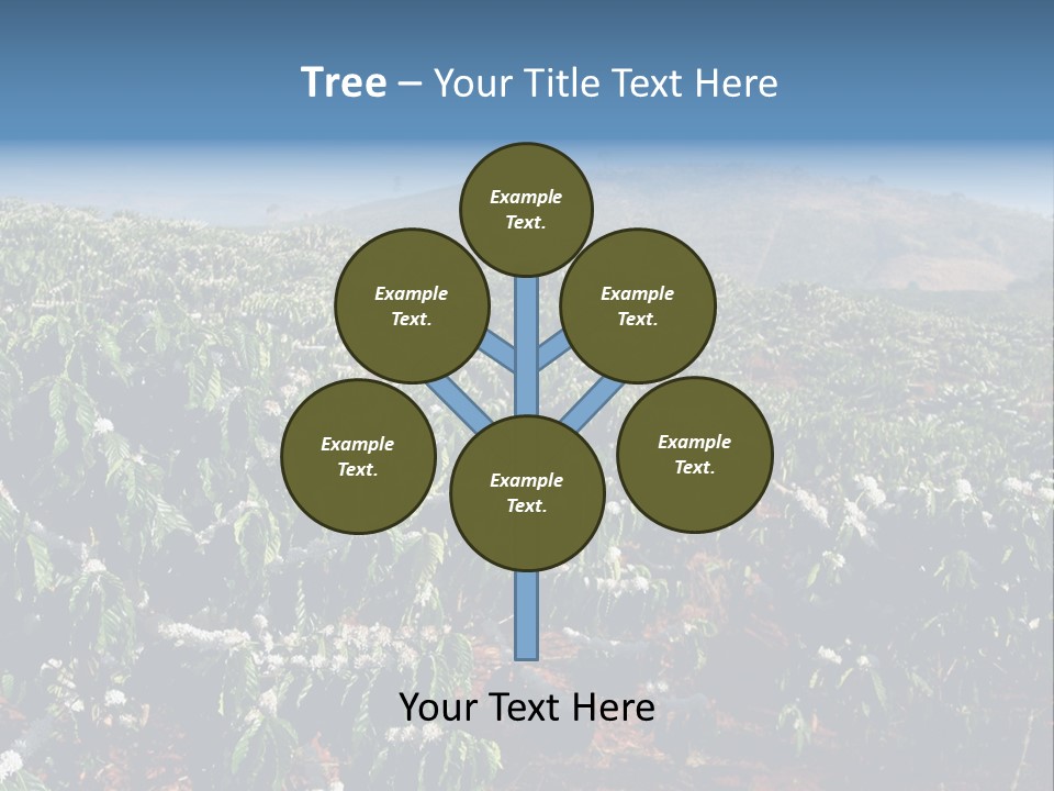 Coffee Plantation PowerPoint Template