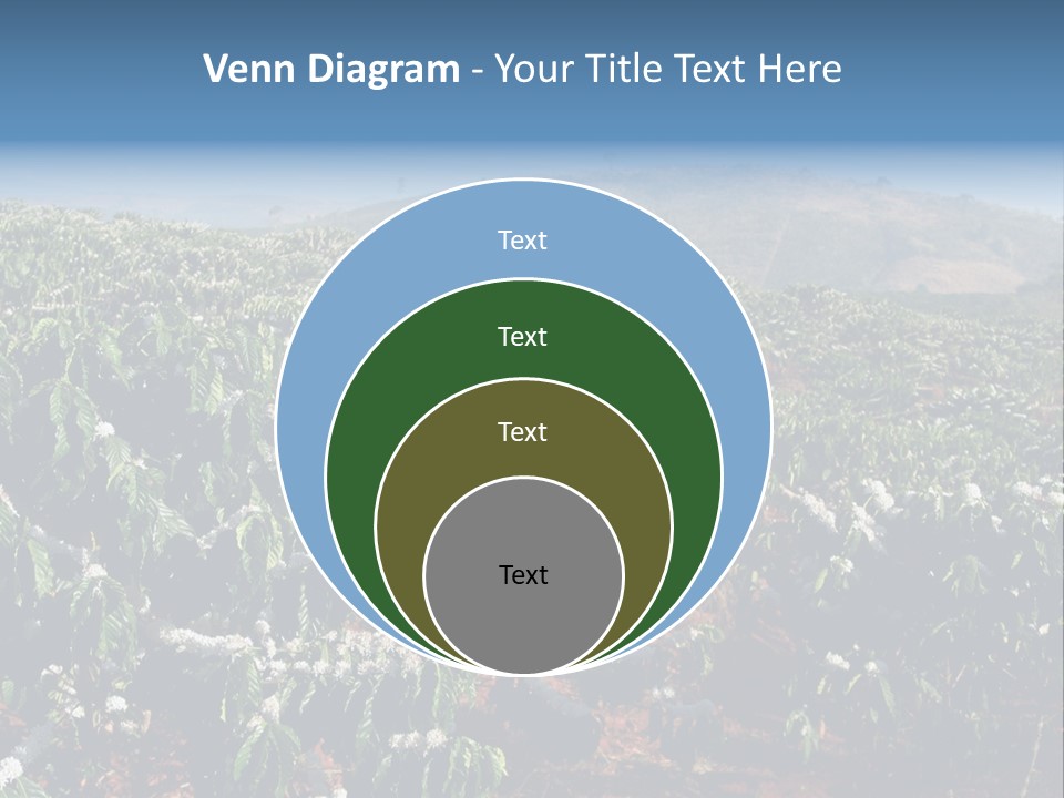 Coffee Plantation PowerPoint Template