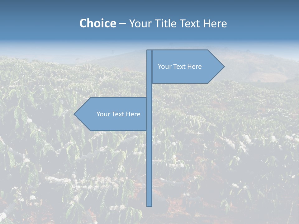 Coffee Plantation PowerPoint Template