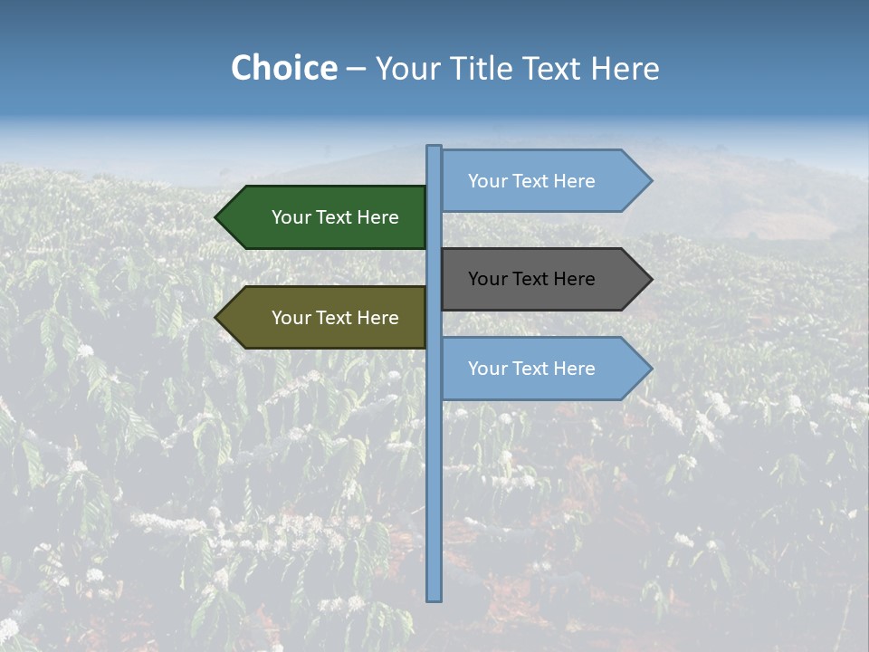 Coffee Plantation PowerPoint Template