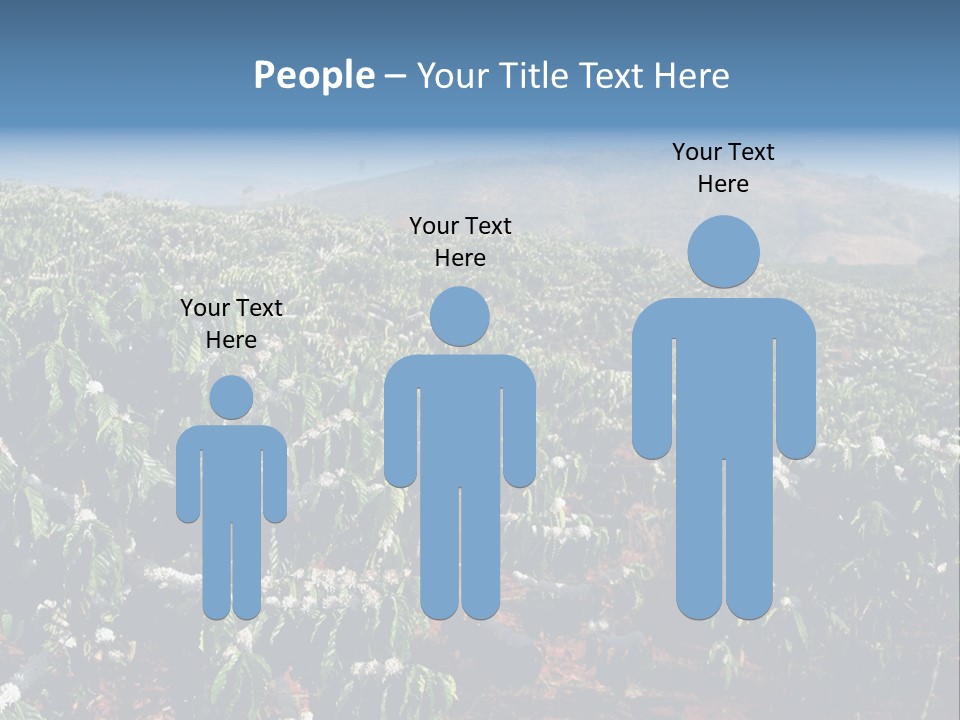 Coffee Plantation PowerPoint Template